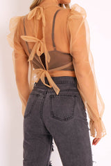 Camel Mesh High Neck Open Back Blouse - Anthea