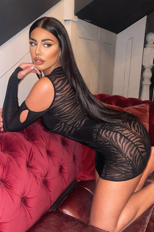 Black Cut Out Velvet Mesh Zebra Print Mini Dress - Jayden