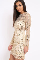 Gold Sheer Sequin Dress - Aaima
