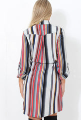 Danty Multi Coloured Stiped Shirt Dress