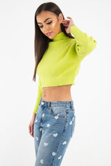 Lime Rib Roll Neck Crop Jumper - Hayvin