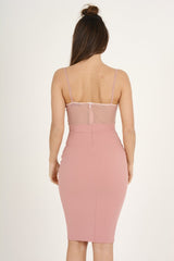 Pink Applique Mesh Bodycon Dress - Tallulah