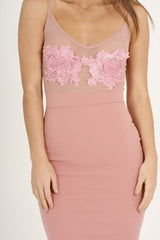 Pink Applique Mesh Bodycon Dress - Tallulah