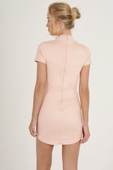 Pink Suede Choker Neck Dress - Alani