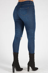 Indigo Distressed High Waisted Skinny Jeans - Erin