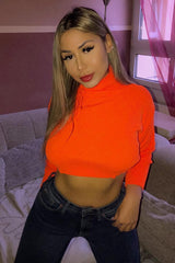 Orange Rib Roll Neck Crop Jumper - Hayvin