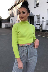Lime Rib Roll Neck Crop Jumper - Hayvin