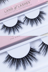 Land of Lashes Hollywood Lash