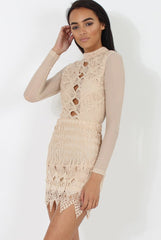 Nude Open Mesh Bodycon Dress - Ida