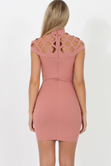 Pink Cage High Neck Bodycon Dress- Kade