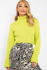 Lime Wide Rib Roll Neck Jumper - Joyanna