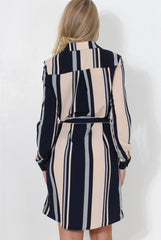 Minnie Navy Striped Shirt Dress