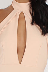 Nude High Neck Backless Midi Dress - Petunia