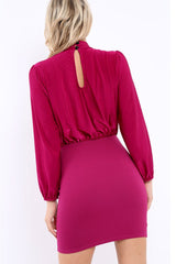 Plum High Neck Slinky Bodycon Mini Dress - Larina