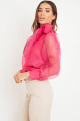 Pink Mesh Balloon Sleeve Blouse - Elvina