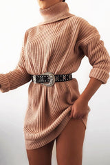 Pink Roll Neck Mini Jumper Dress - Dariyana