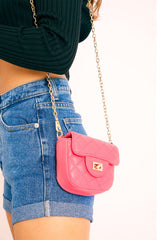 Fuchsia Quilted Gold Chain Strap Mini Bag - Sari