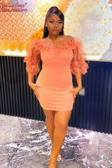 Rose Mesh Frill Neck Bardot Mini Bodycon Dress - Ellarae