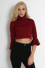 Iris Wine Bell Sleeve Turtle Neck Top